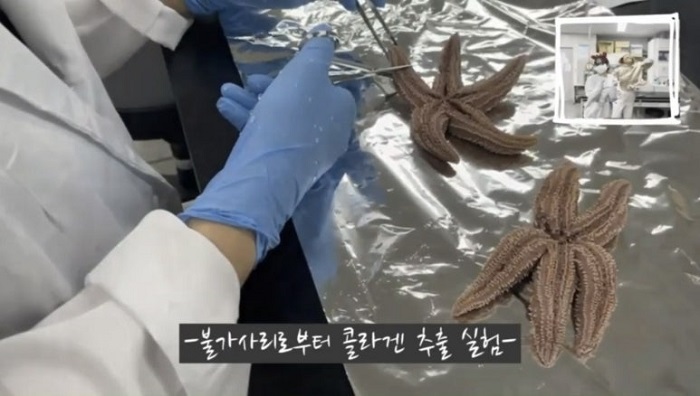 서울여대인 - 식품공학전공 대체육 소학회  LET'S MEAT 와의 인터뷰 이미지14