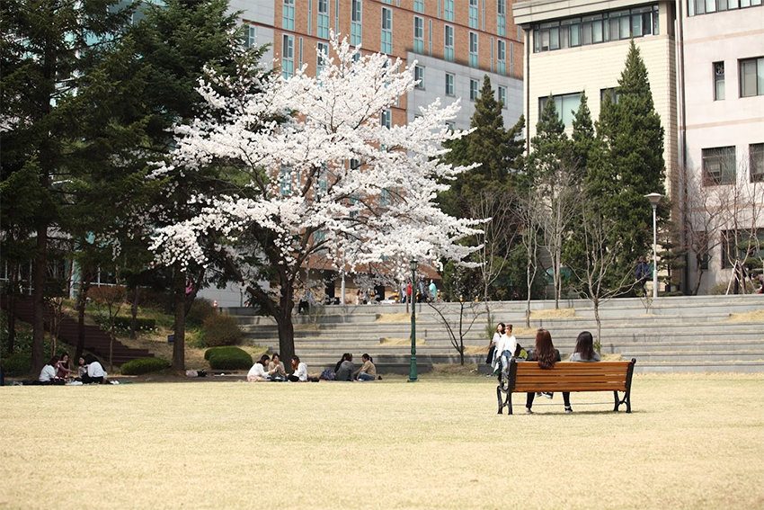 서울여자대학교, 2년 연속 ‘2025년 서울마이칼리지 공모사업’ 선정 이미지1